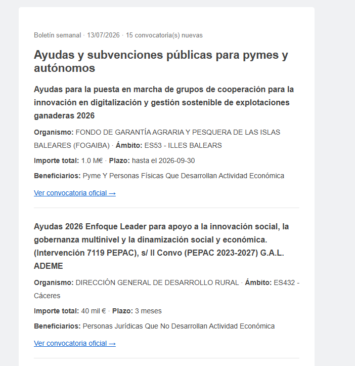 Ayudas y subvenciones públicas para pymes y autónomos